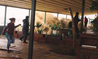 10708409_10152422574859779_1110444682_n