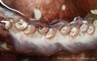 10711510_745852705480692_1869998518_n