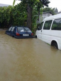 10714676_10152422576474779_1195519194_n