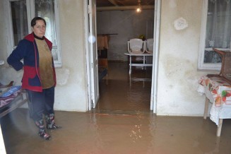 10714704_780453182000569_13086432_n