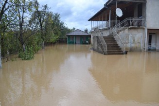 10715693_780453185333902_268649481_n