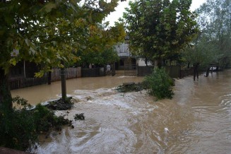 10715765_780453208667233_888097811_n