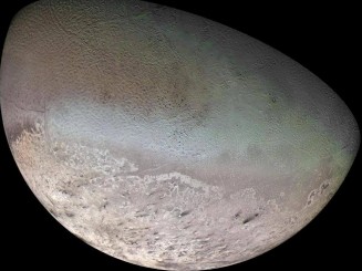 10719010_751737904892172_122420221_n