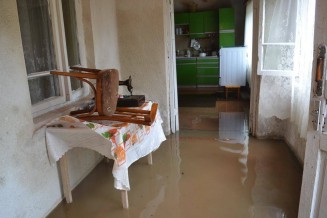 10719052_780453178667236_1680805564_n