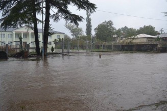 10719106_780453198667234_1631371315_n