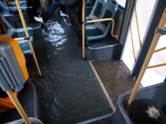 16729_823732497657183_8523608341725333835_n