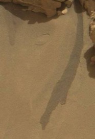 804469_742606285805334_992261753_n