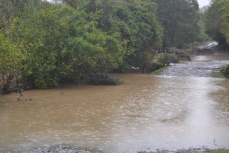 974671_780453212000566_1260175090_n