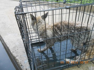 10339757_712278398853633_7961909515094329527_n