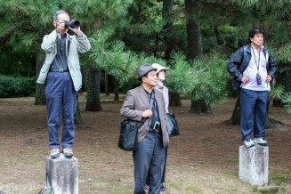 10417713_351501338351479_5981682073910782715_n