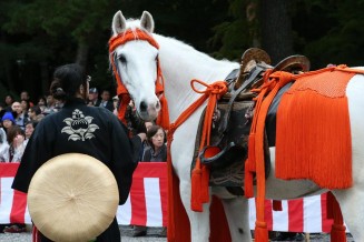 10600638_351501231684823_3972314284667358341_n