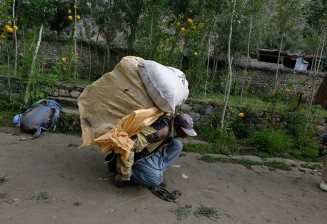 1062954_856216924418547_365982735_n