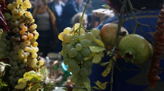 10660237_737853256305753_7656067754455139648_n