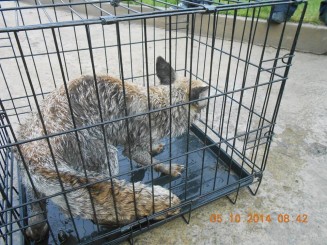 10665210_712278482186958_7815643615096145428_n