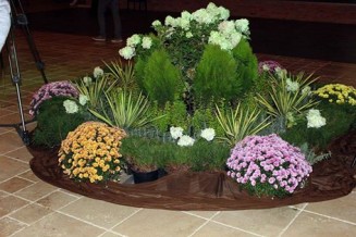 10716174_968651789817478_1838777776_n