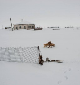 10717912_10203063413292482_582672591_n