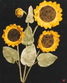 10719011_10203069822732714_204038914_n