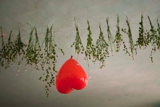 10719277_10203063381291682_1620451211_n