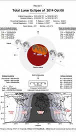 10721442_954613951233288_204964219_n