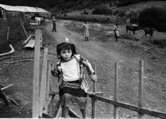 10723168_10203063411532438_943948890_n