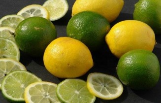 10723210_949721025055914_258573268_n