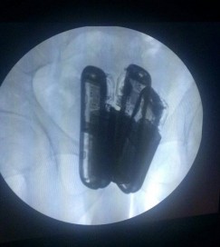 10723235_837660416256453_1029600115_n