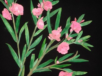 10723336_10203069822692713_142949328_n