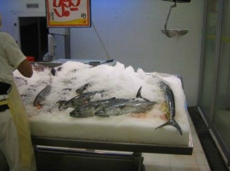 10723423_949720791722604_2141052809_n