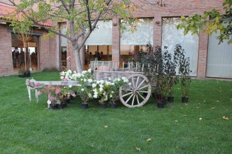 10723526_968651736484150_1849955561_n