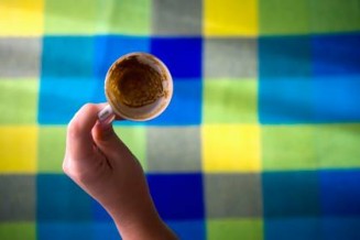 10726601_852153014824938_871405106_n