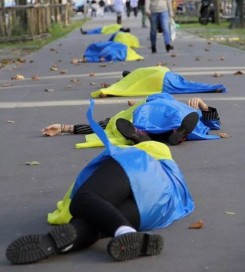 10728847_855869224453317_318851456_n