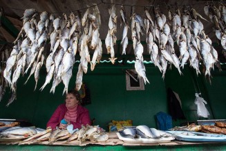 10729043_855705961136310_889702102_n