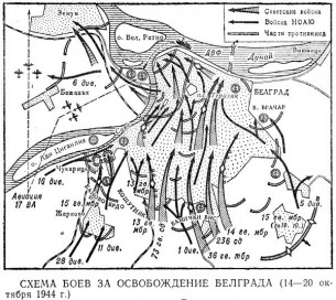 10743479_853565114683728_567752925_n