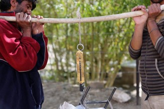 10744946_856216944418545_980792726_n