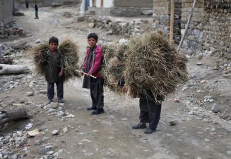 10748781_856216897751883_1994422064_n