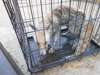 7088_712278508853622_5796156634675226065_n