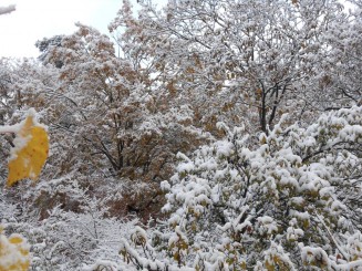 1012903_716714535084723_1327836611778663017_n