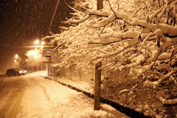 10671244_978272188856048_7194088682389988768_n