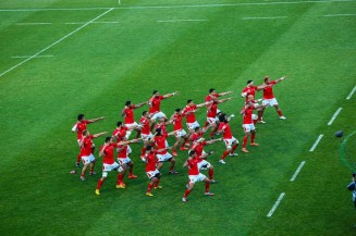 10687028_358199177681695_7492085432809578259_n