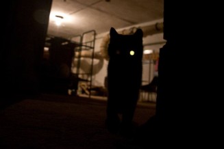 10751991_861995717174001_688313711_n