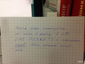 10799361_772584262800073_842202869_n