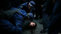 10799575_871152799591626_429551159_n