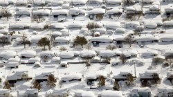 10799714_871143256259247_1595127797_n