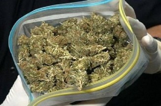 10799843_863071590399747_1675938740_n