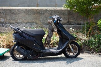 10800149_862567803783459_1842142028_o