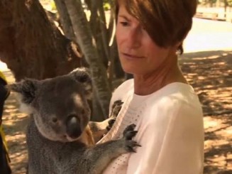 10807949_868489933191246_136212830_n