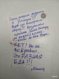 10811461_772584246133408_1916639971_n