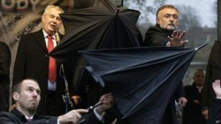 10818543_870203393019900_569009691_n