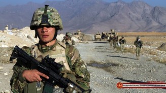 1424382_871992866166790_6122122583800553175_n