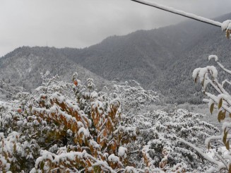 1471265_716714375084739_1536226104853802271_n